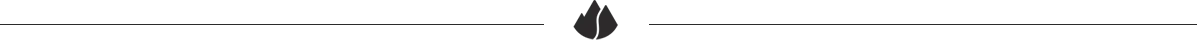 Divider Line With Logo