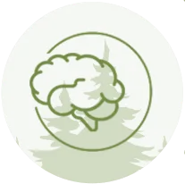 Brain health and nervous system care icon for Trailhead Family Chiropractic
