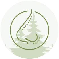 Posture and spinal alignment icon for Trailhead Family Chiropractic